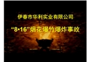 伊春市華利實業(yè)有限公司“8?16”煙花爆竹爆炸事故